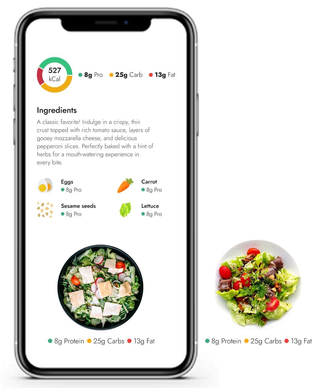 TastyGo app on mobile